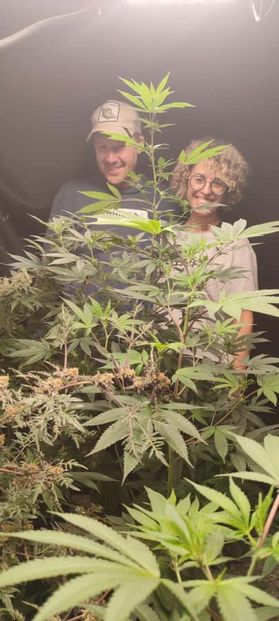 CANNABIS EXPERIENCE - Ancestral knowledge and modern methods