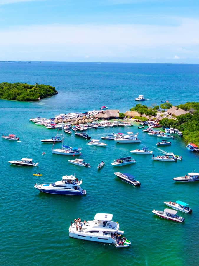 Cartagena: 4 Island Day Trip by Boat and Caribbean Lunch - Language and organization deserve a check