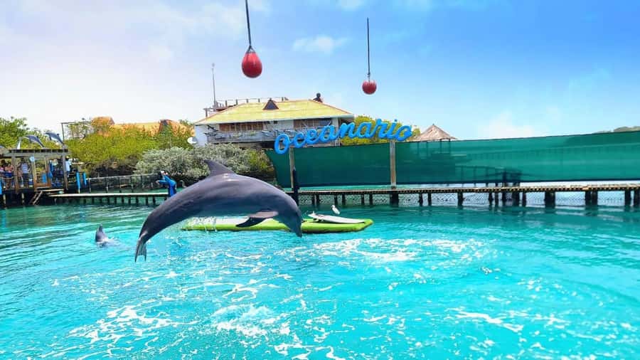 CARTAGENA: 4 islands by sport boat +oceanarium tickets - Key points to know before booking