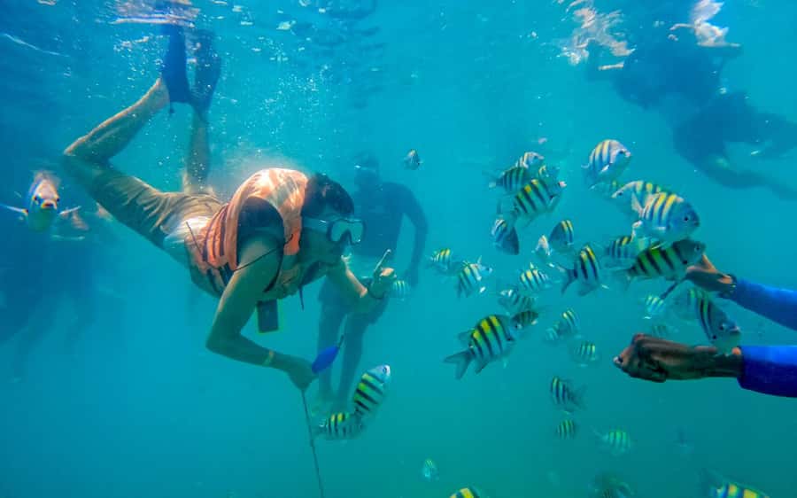 Cartagena: 5 Island Boat Tour with Night Bioluminescent Stop - Guides can shape the whole day