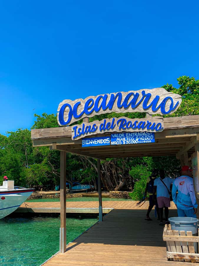 Cartagena: 5 Rosario Islands Tour with Snorkeling and Lunch - Snorkeling near coral and a sunken plane