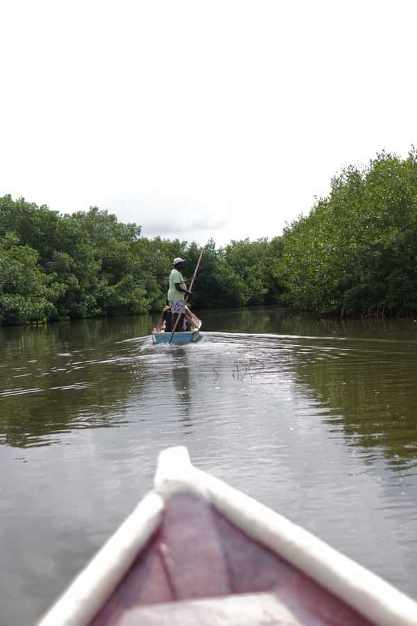 Cartagena: Artisanal fishing through the mangroves - From Cartagena’s Historic Center to La Boquilla