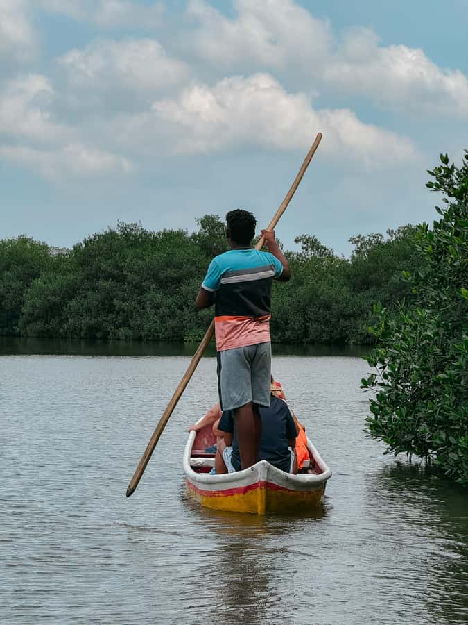 Cartagena: Artisanal fishing through the mangroves - The Small Island Stop in the Mangrove