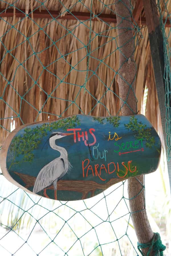 Cartagena: Artisanal fishing through the mangroves - Learning to Fish Like a Local