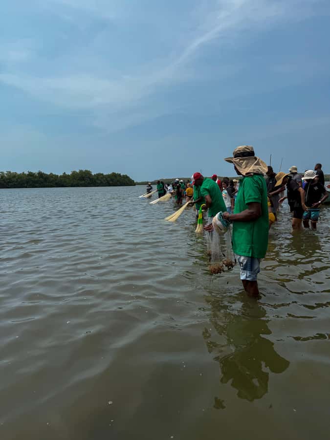 Cartagena: Artisanal fishing through the mangroves - What the $45 Price Really Covers