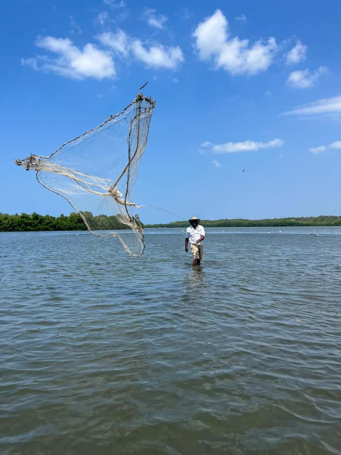 Cartagena: Artisanal fishing through the mangroves - Meeting the Community and Understanding the Mangrove