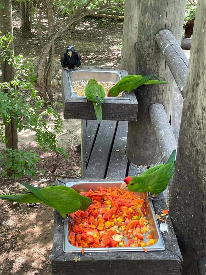 Cartagena: Aviary National Park Tour with Hotel Pickup - Key points to know before you book