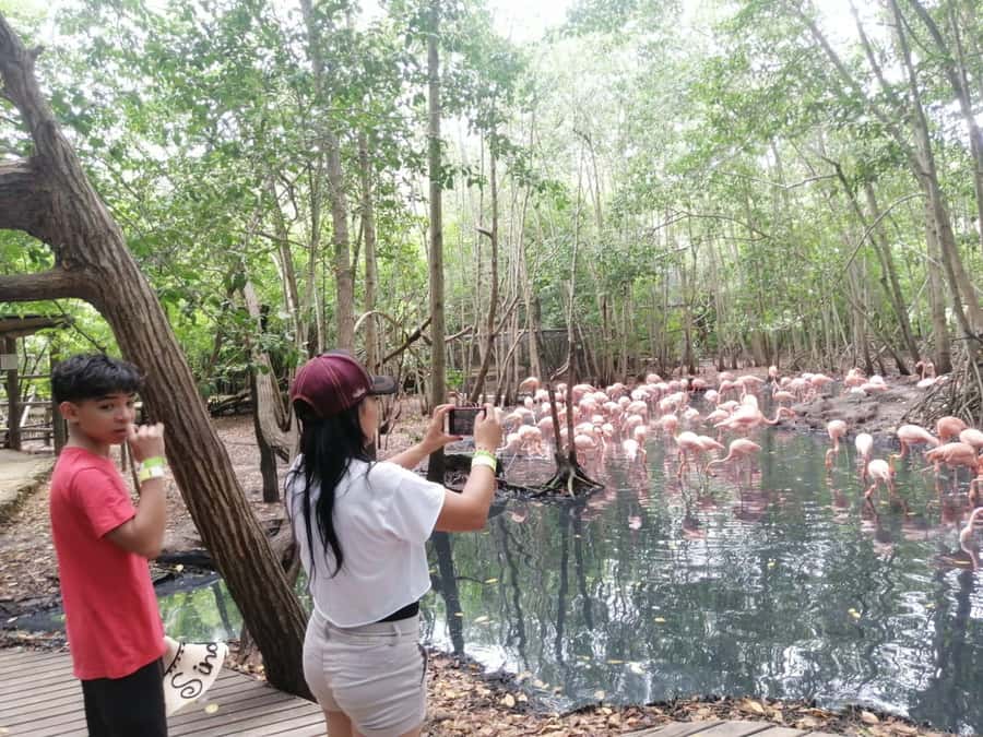 Cartagena: Aviary National Park Tour with Hotel Pickup - Entering the aviary and finding your way around