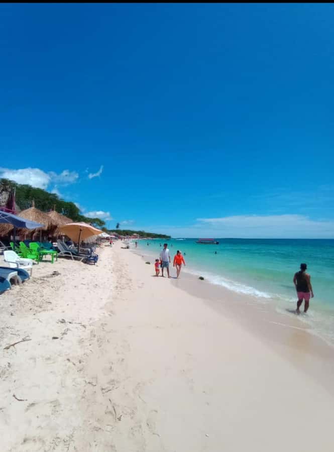 Cartagena: Barù Island Playa Blanca with Lunch - Key points to know before you book