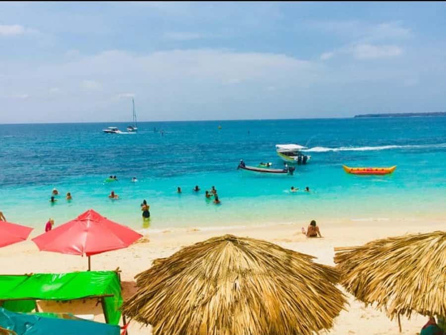 Cartagena: Barù Island Playa Blanca with Lunch - Who will enjoy this day at Playa Blanca