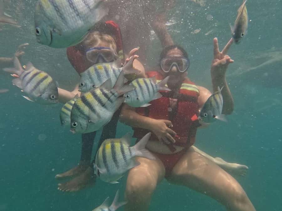 Cartagena: BARÚ Playa blanca with SNORKELING INCLUDED - Snorkeling in Playa Blanca’s clear water