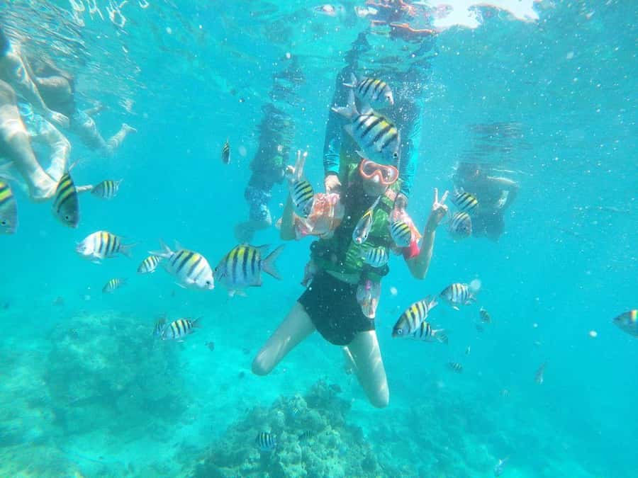 Cartagena: BARÚ Playa blanca with SNORKELING INCLUDED - A traditional lunch with three choices