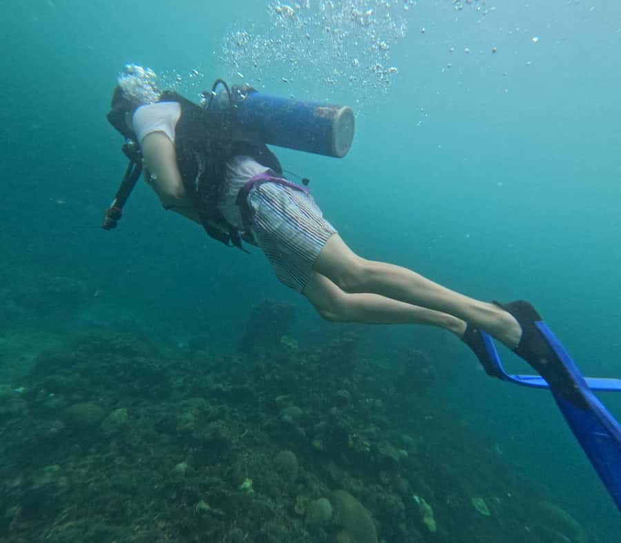 Cartagena: Basic Diving for beginners in Rosario Islands - What to bring for a smoother day