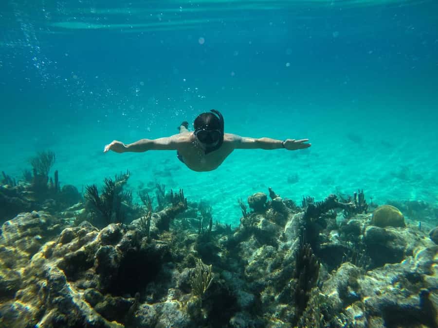 Cartagena: Basic Diving for beginners in Rosario Islands - Reaching Barú and Playa Blanca