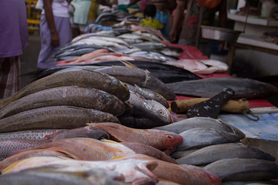 Cartagena Bazurto Market: Authentic Food & Culture Tour - The three-hour pace and possible weak spots