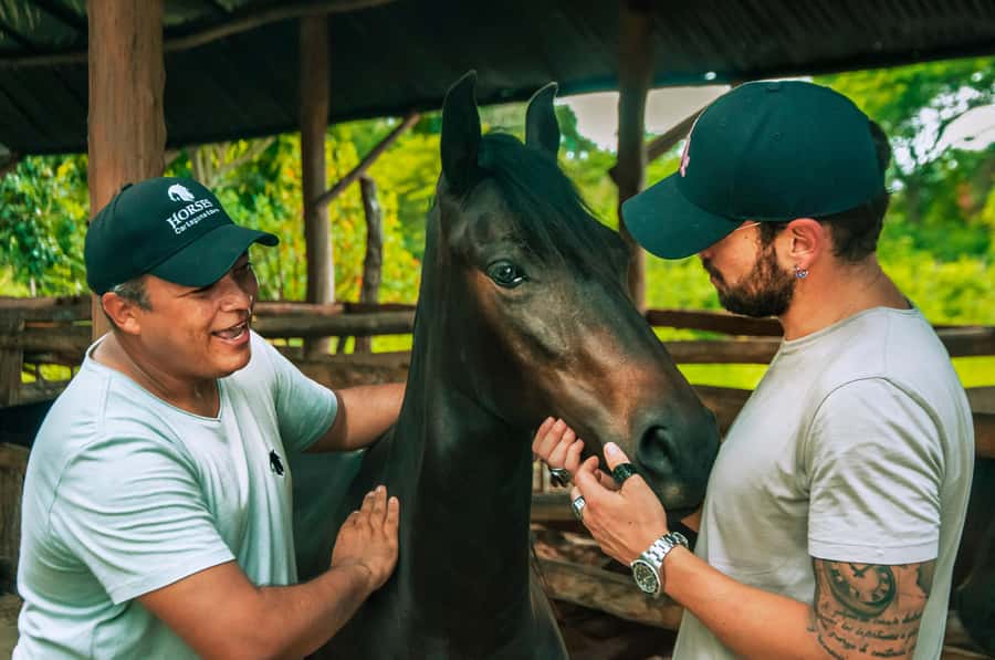 Cartagena: Beach Horse Ride and Colombian Equestrian Culture - Hotel pickup and the trip to the ranch