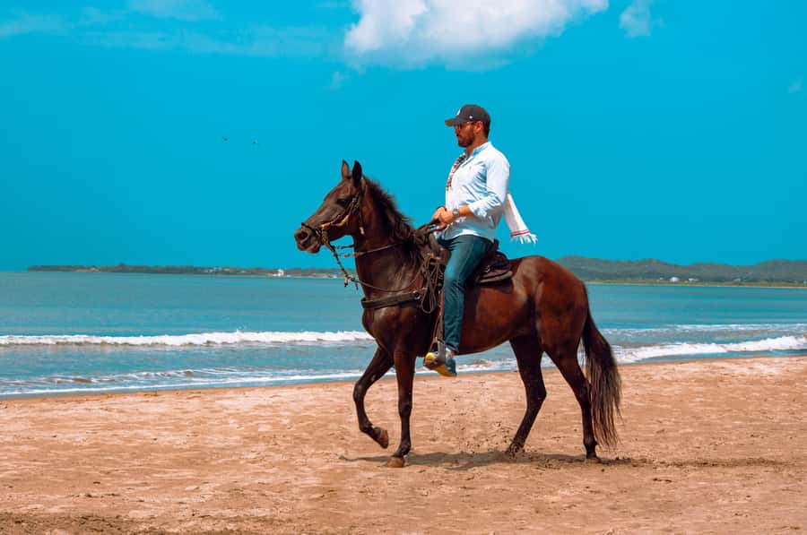 Cartagena: Beach Horse Ride and Colombian Equestrian Culture - Riding beside the sea