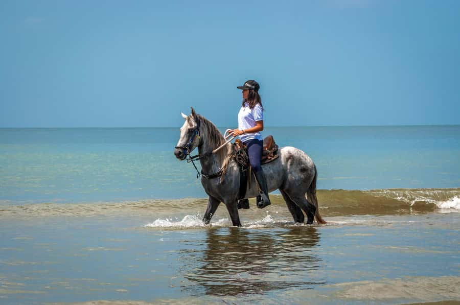 Cartagena: Beach Horse Ride and Colombian Equestrian Culture - How the small group changes the day
