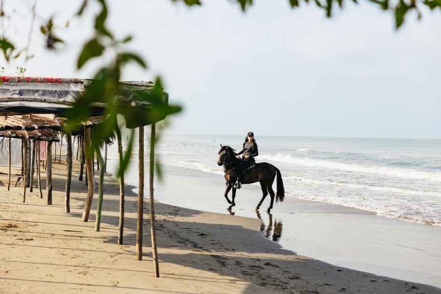 Cartagena: Beach Horse Ride and Colombian Equestrian Culture - What past participants liked most
