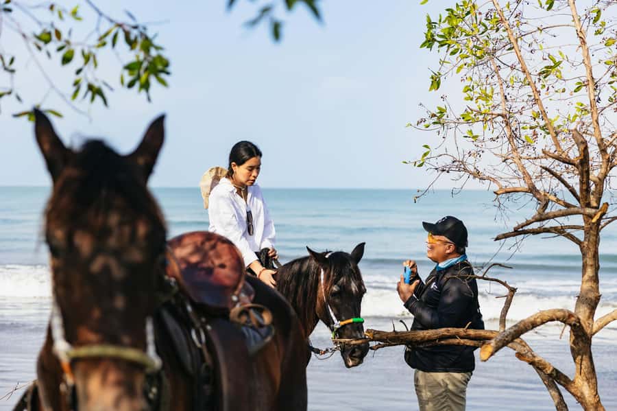 Cartagena: Beach Horse Ride and Colombian Equestrian Culture - Who should book this experience