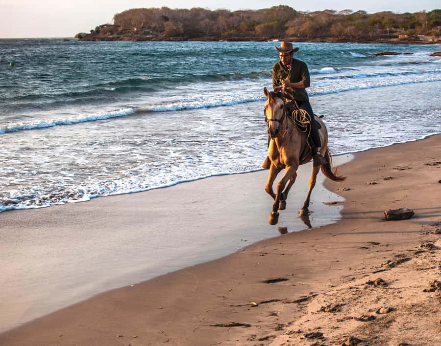 Cartagena, Blue Apple Beach, Horse Treks - Key points at a glance