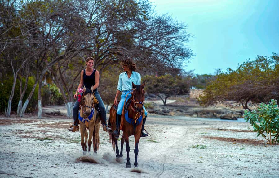 Cartagena, Blue Apple Beach, Horse Treks - From Cartagena’s dock to Tierra Bomba