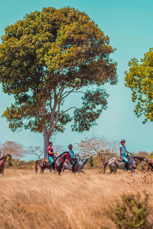 Cartagena, Blue Apple Beach, Horse Treks - Boat time and the five-hour schedule