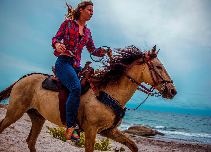 Cartagena, Blue Apple Beach, Horse Treks - Is $120 per person good value?