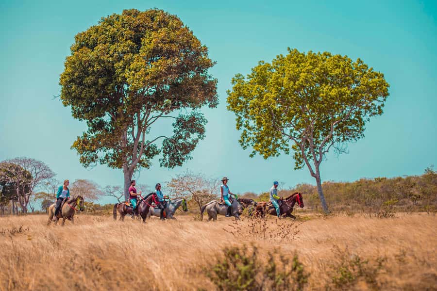 Cartagena, Blue Apple Beach, Horse Treks - Riding from Blue Apple Beach