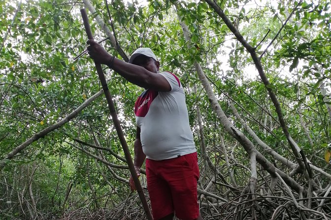 Cartagena : Boquilla and Mangroves Canue Ride (Also for Cruisers) - Why La Boquilla gives you a different side of Cartagena