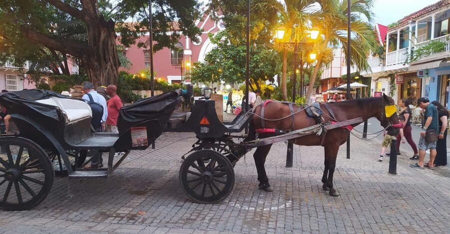 Cartagena: COLLONIAL HORSE DRAWN CARRIAGE by THE OLD CITY - Key points to know before booking