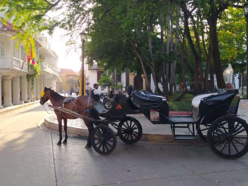 Cartagena: COLLONIAL HORSE DRAWN CARRIAGE by THE OLD CITY - Price, private group value, and practical limits