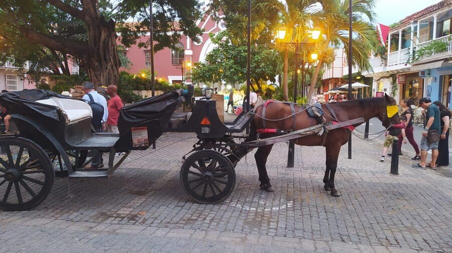Cartagena: COLLONIAL HORSE DRAWN CARRIAGE by THE OLD CITY - Santo Domingo Square and the first look at the Old City