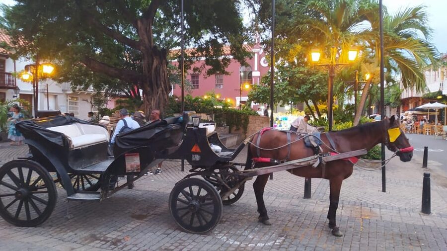 Cartagena: COLLONIAL HORSE DRAWN CARRIAGE by THE OLD CITY - Cartagena Cathedral and the final landmark