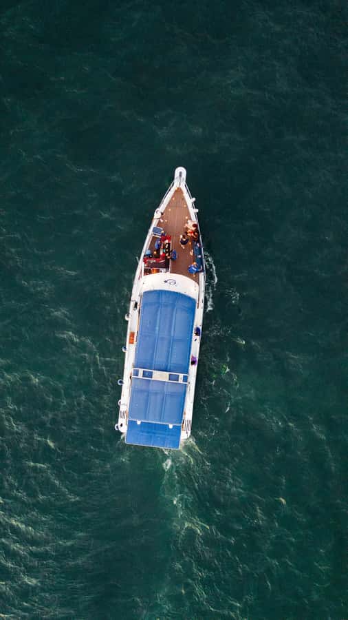 Cartagena: Cruise by the Bay with Dinner and Wine - Music, service, and the evening mood