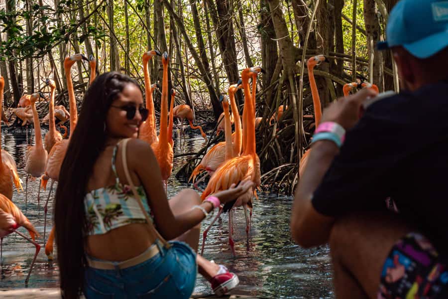 Cartagena: Day Trip Aviary and enjoy Playa Blanca by bus - Key points to know before booking