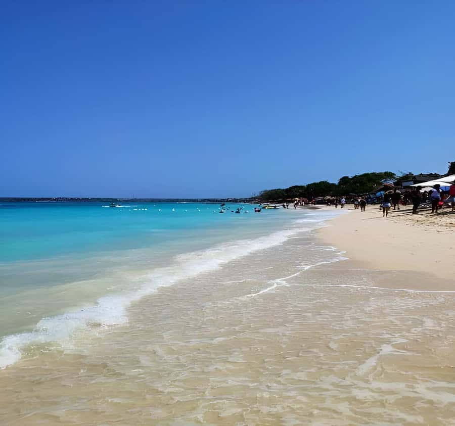 Cartagena: Daytour Aviary and Playa blanca, Barú by bus! - Lunch is included, but keep expectations simple