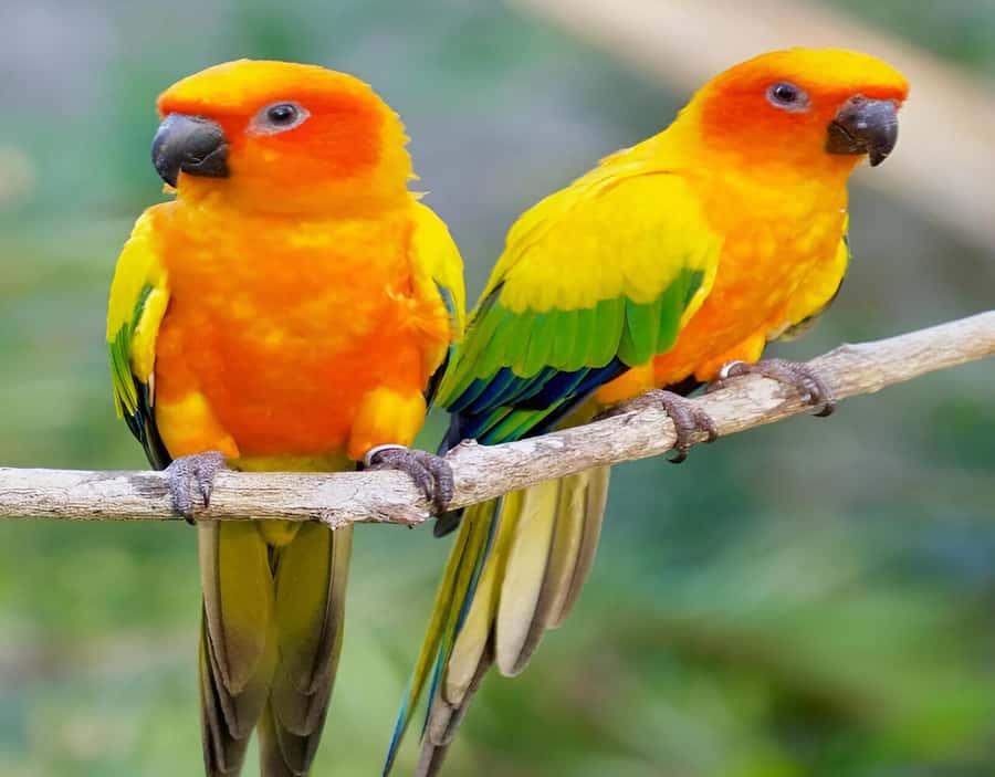 Cartagena: Daytour Aviary and Playa blanca, Barú by bus! - The guide can make or break the day