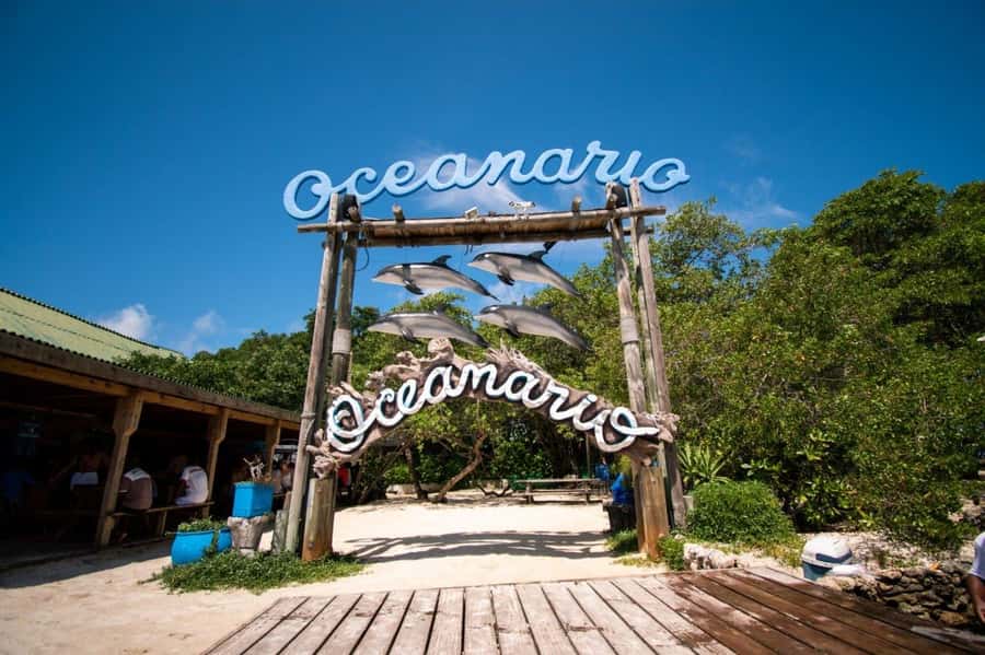 Cartagena de Indias: 2x1 Boat trip to the Rosario Islands and Baru Island - What this $44 boat day actually includes