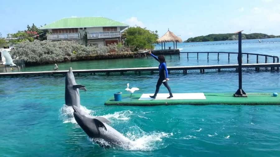 Cartagena de Indias: Pasadia 5 Islas del rosario and Baru boat trip - What the Rosario Islands stop really offers