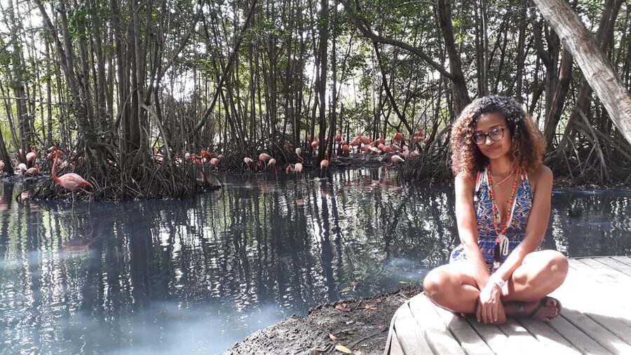 Cartagena: Ecoplan on Barú, Aviary and Oceanarium in one day - The basic boat to the Rosario Islands