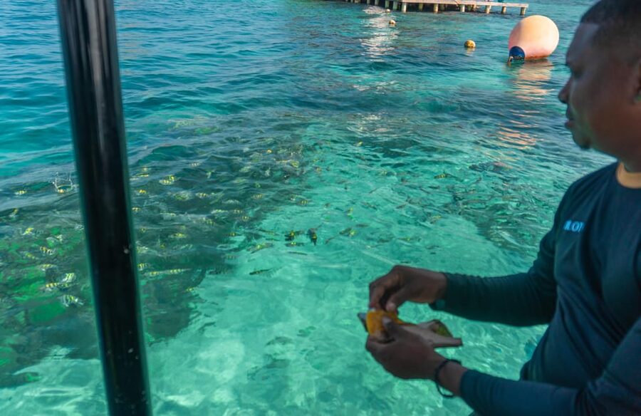 Cartagena: Ecoplan on Barú, Aviary and Oceanarium in one day - The National Aviary, the day’s strongest attraction