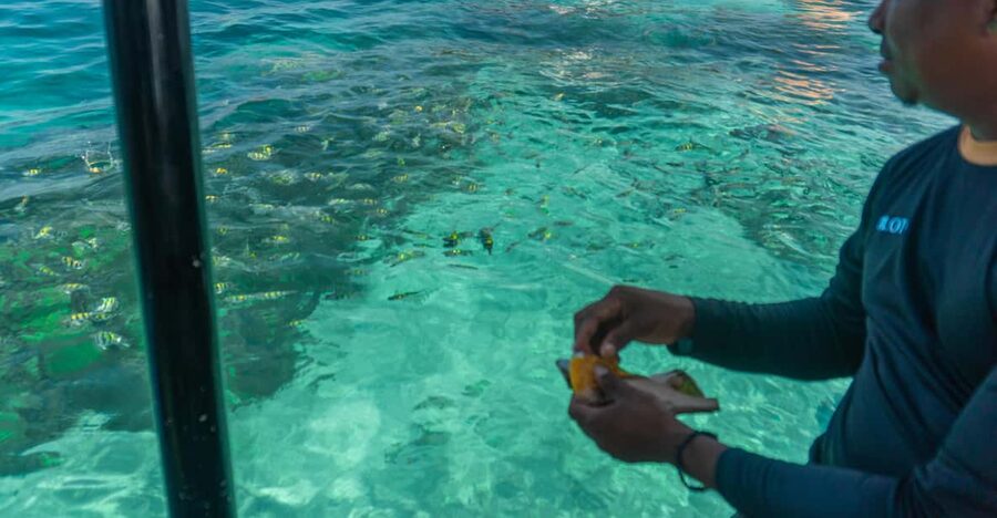 Cartagena: Ecoplan on Barú, Aviary and Oceanarium in one day - Is $68 good value?