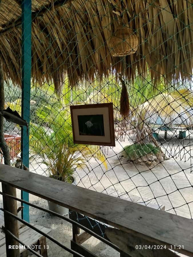 Cartagena: FISHERMEN'S ISLAND IN THE MANGROVES by canoe - Starting in La Boquilla and reaching the water
