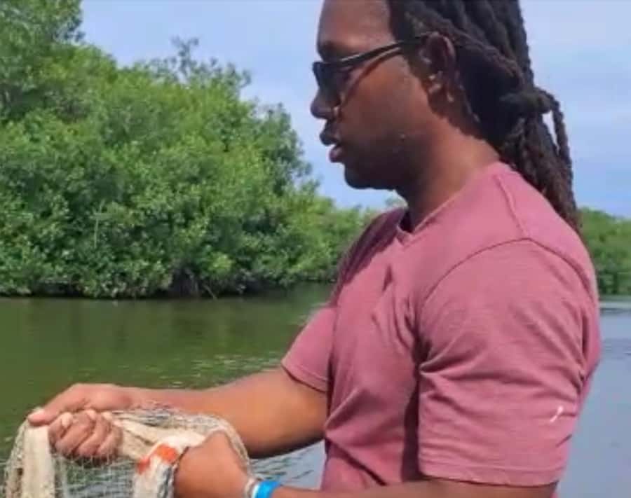Cartagena Fishing, Crabbing, Birdwatching Experience + Lunch - Trying traditional net fishing