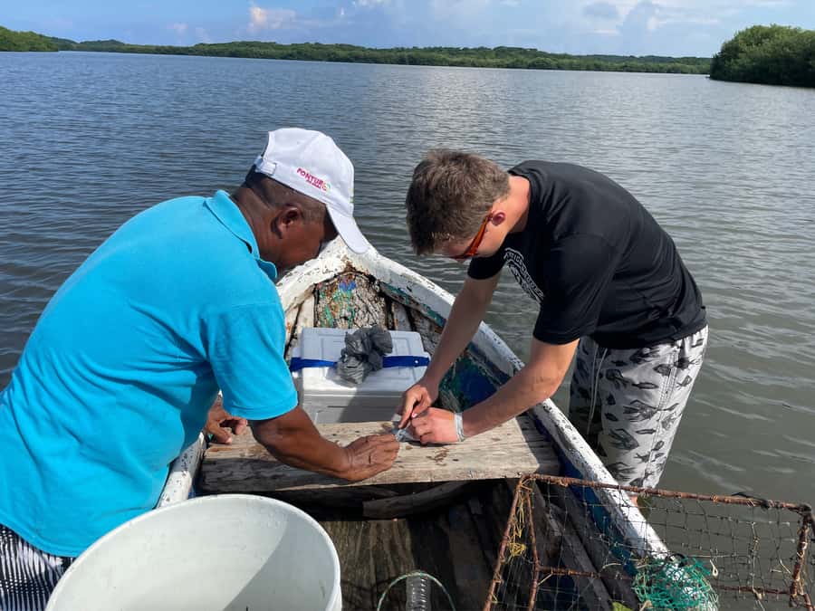 Cartagena Fishing, Crabbing, Birdwatching Experience + Lunch - Birdwatching among herons and kingfishers