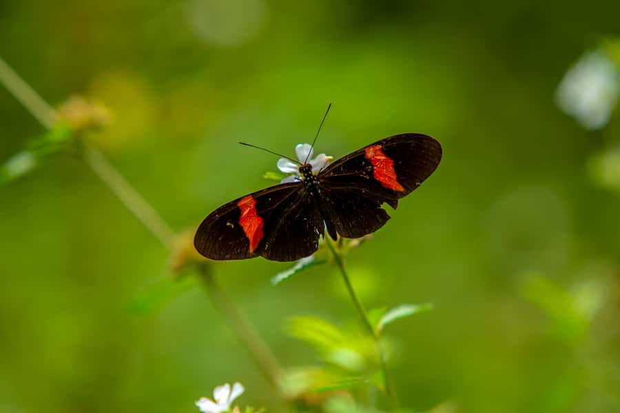 Cartagena: Guided Hiking Tour - Why leave Cartagena for the Tropical Dry Forest?