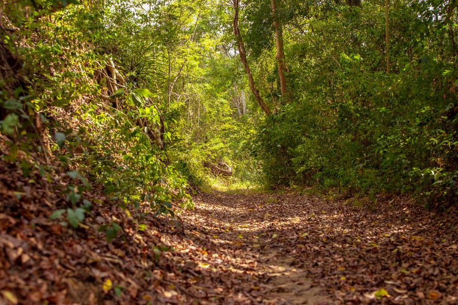 Cartagena: Guided Hiking Tour - A simple Colombian lunch after the hike