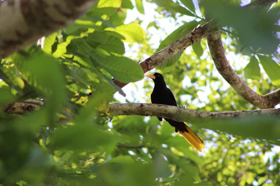 Cartagena: Guided Hiking Tour - A guide-led outing for no more than eight people