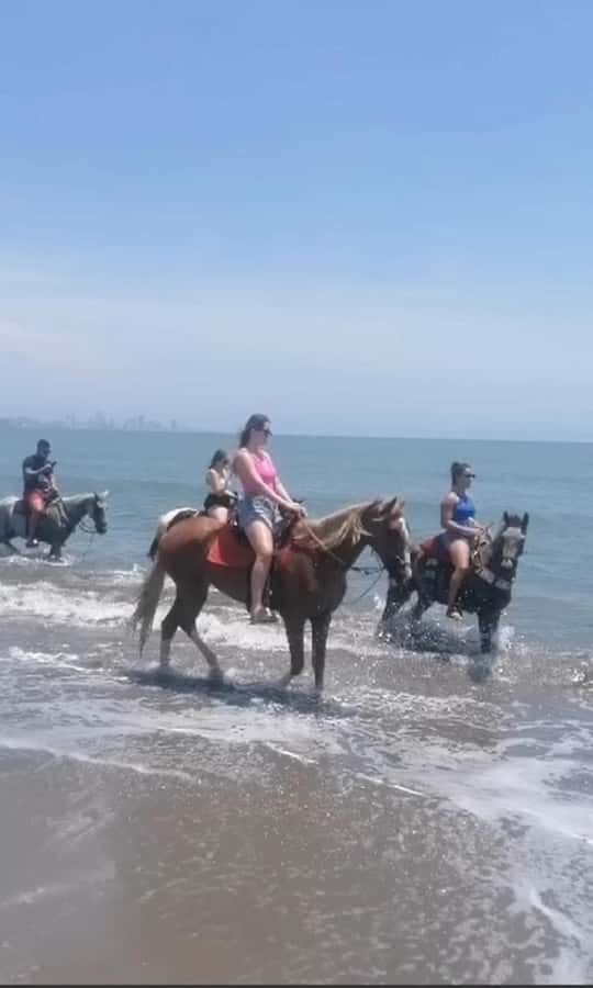 Cartagena: Horse Riding on the Beach with Photos and Lunch - Quick points to know
